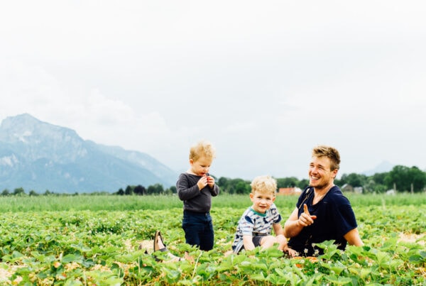 familienfotos beim erdbeersammeln